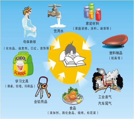 小蝌蚪视频官网