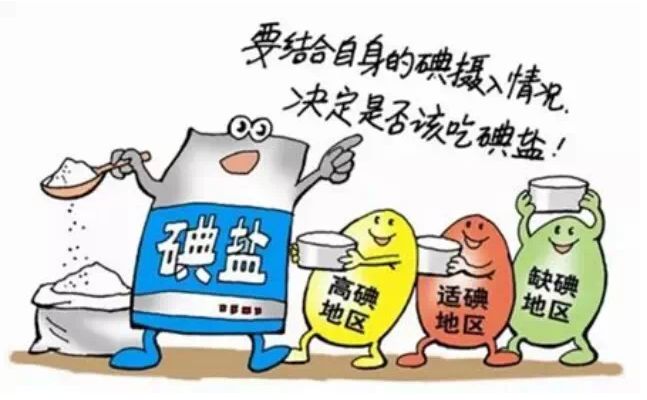 小蝌蚪视频官网廠家
