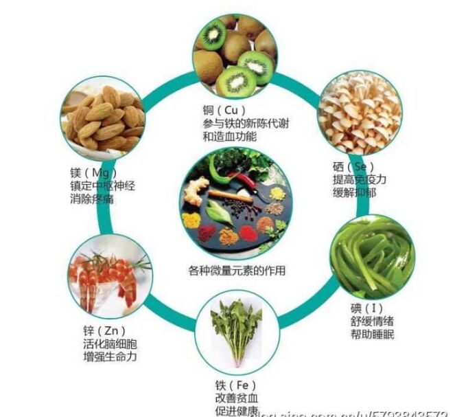 全自動小蝌蚪网站视频分析頭發檢測的結果