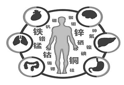 全自動小蝌蚪网站视频廠家介紹缺少微量元素的危害 全自動小蝌蚪网站视频廠家介紹缺少微量元素的危害