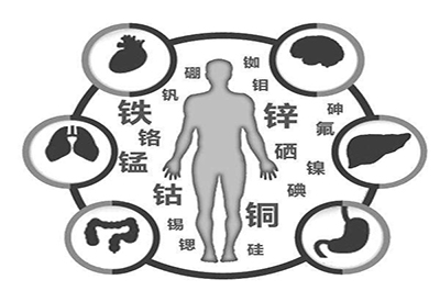 全自動小蝌蚪视频官网廠家微量元素在人體中起到哪些作用 全自動小蝌蚪视频官网廠家微量元素在人體中起到哪些作用