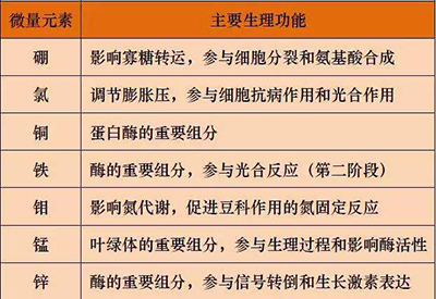 全自動小蝌蚪视频官网廠家微量元素的對人體的生理作用 全自動小蝌蚪视频官网廠家微量元素的對人體的生理作用
