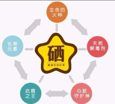 素分析儀,醫用小蝌蚪网站视频,人體微