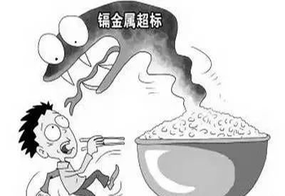 2020/1/4-全自動小蝌蚪视频官网-國康-鎘元素對人體的作用有哪些 2020/1/4-全自動小蝌蚪视频官网-國康-鎘元素對人體的作用有哪些